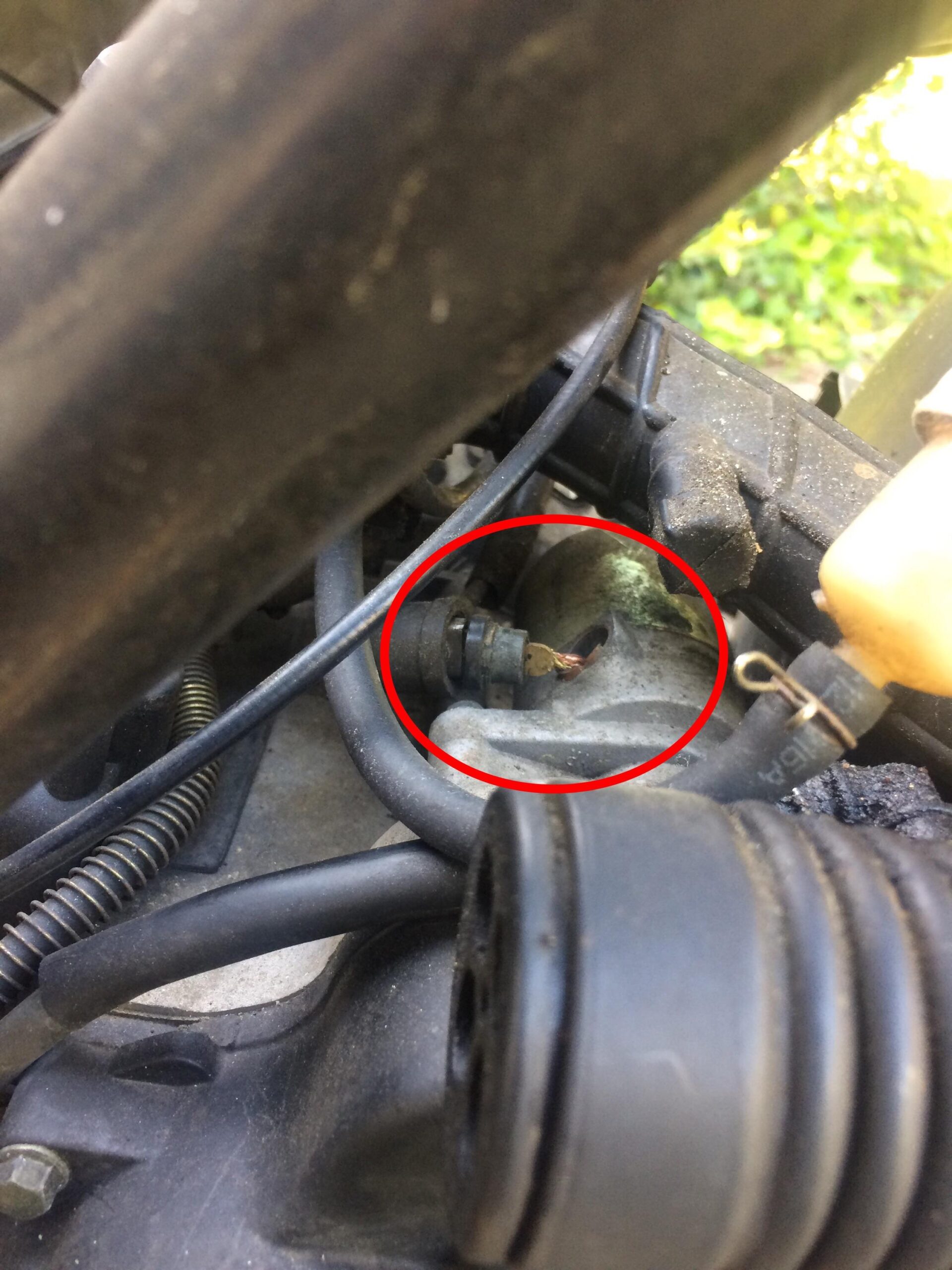 Why My Moped Won'T Start
